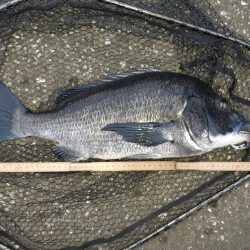 自己新記録‼️…