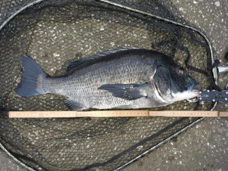 自己新記録‼️…