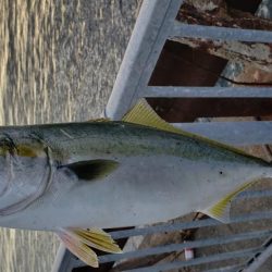 タチウオ不発❗