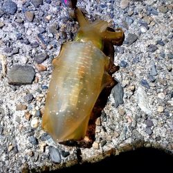 誰もいない場所