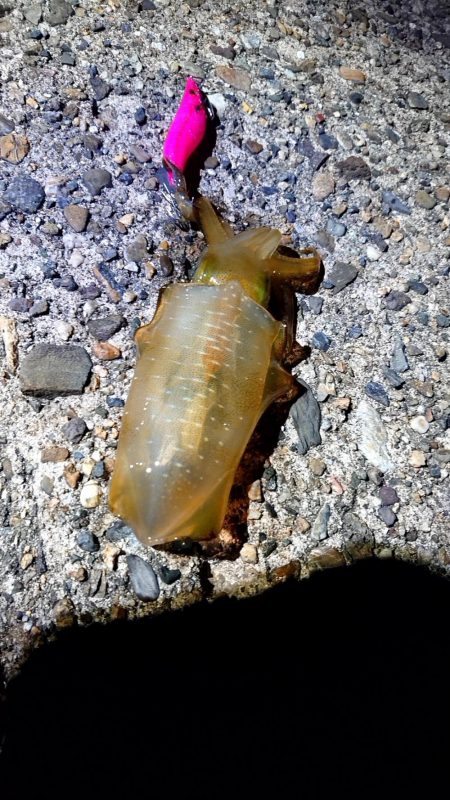 誰もいない場所