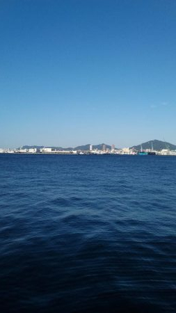 タチウオF4~ハマチ