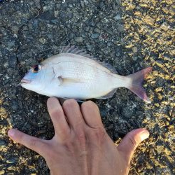 大潮 満月 まあまあのチャリコ!