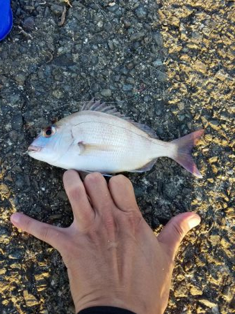 大潮 満月 まあまあのチャリコ!