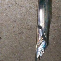 食い逃げダッシュ