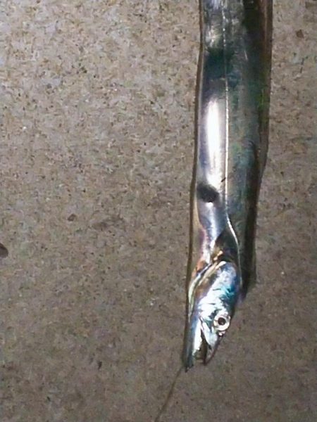 食い逃げダッシュ