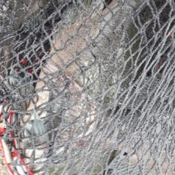 グレの40オーバー!