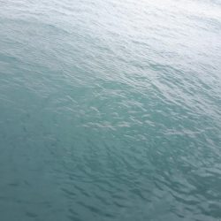 2日連続の夜釣り!!