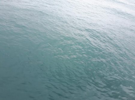 2日連続の夜釣り!!