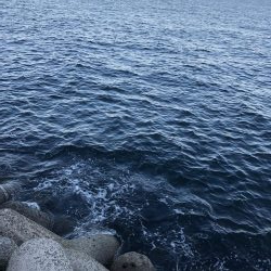 ツバス祭り継続中