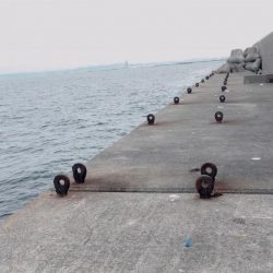 ショアジギ で太刀魚