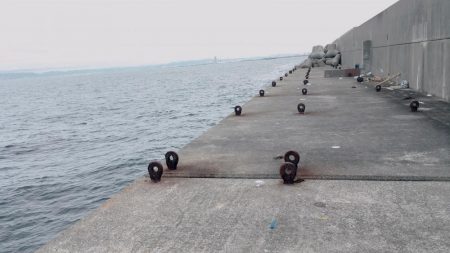 ショアジギ で太刀魚