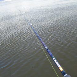 活性…ひくぅ!でもなんとか