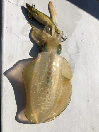 数はでませんでしたが良型揃い