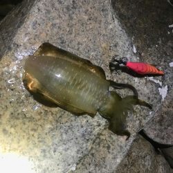 ウォーミングアップ 完了！？