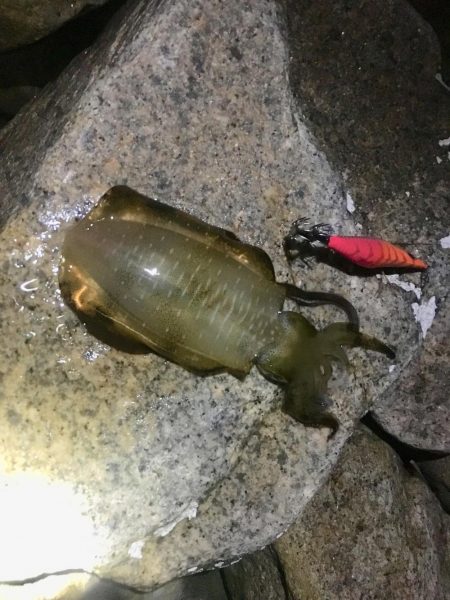 ウォーミングアップ 完了！？