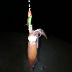 剣先なんとかツ抜け