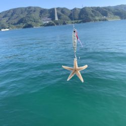 激渋マリーナシティ