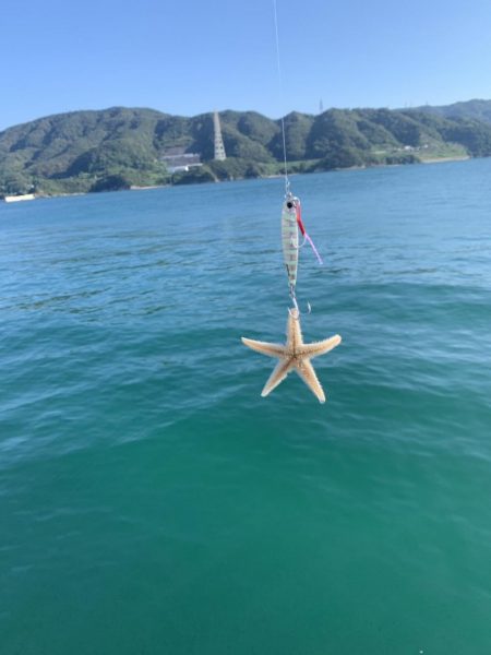 激渋マリーナシティ
