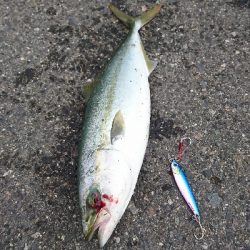 サイズアップしてきました!