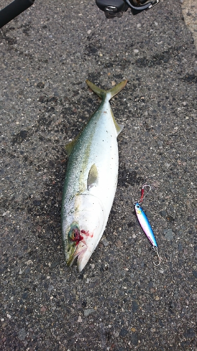 サイズアップしてきました！