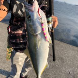 タチウオ爆釣!!