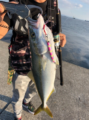 タチウオ爆釣!!