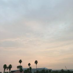 ショアジギング