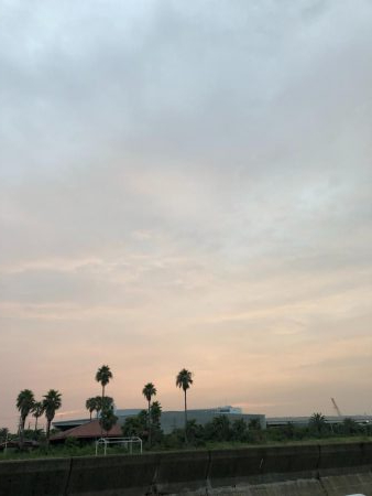 ショアジギング