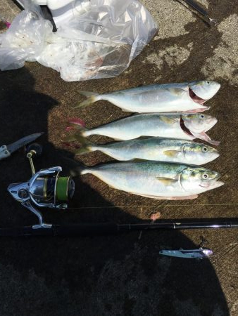 史上最高青物祭り