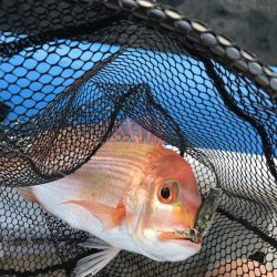 リアルベイトジグ