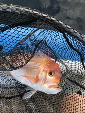 リアルベイトジグ