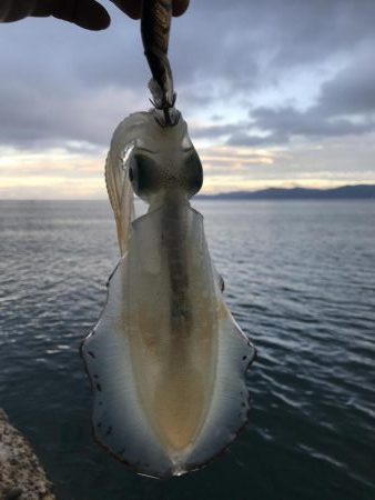 ２時間で１７杯