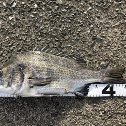 イチノ兄弟、釣果！