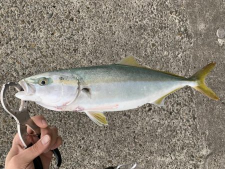 ショアジギング