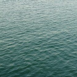 フラット狙いで、タチウオ釣果！！