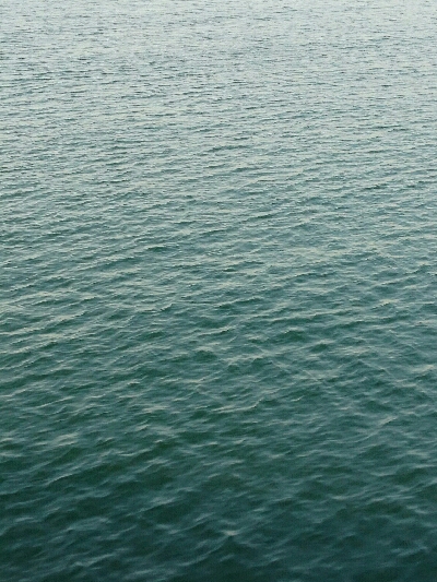 フラット狙いで、タチウオ釣果！！