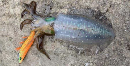 イージーエギング