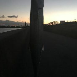 夕まずめにちょこっと