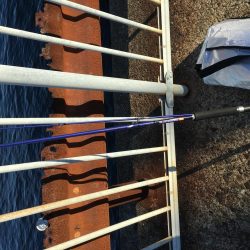 ライトショアジギング