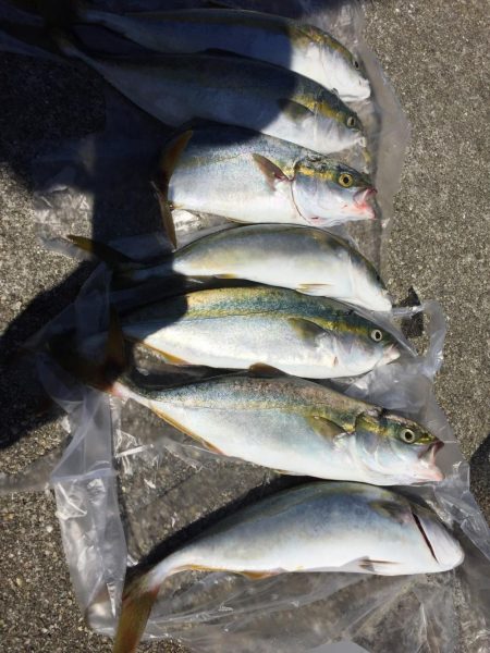 初ポーアイ沖堤‼࿠…