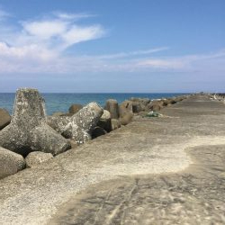 秋アオリイカ釣行