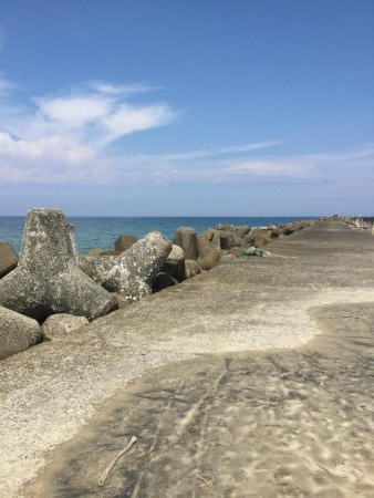 秋アオリイカ釣行