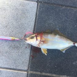 そろそろ秋ですねー。