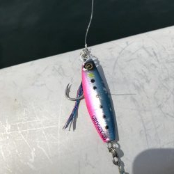 9月20日神戸ツバス大