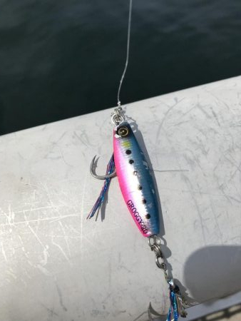 9月20日神戸ツバス大