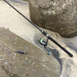 秋イカラッシュ