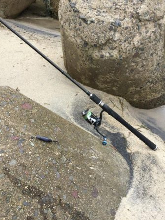 秋イカラッシュ