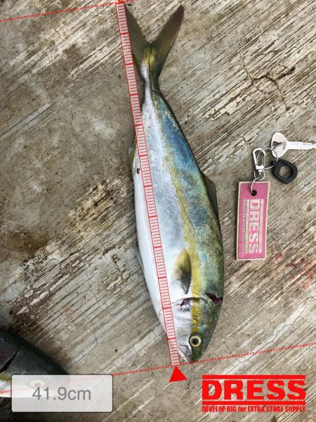 情報通りに釣れます