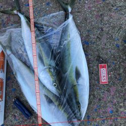 9月3日明石海峡ジギングでハマチ狙い